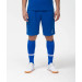Гетры футбольные Jogel Camp Advanced Socks, синий\белый 75_75