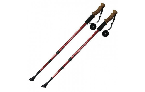 Палки для скандинавской ходьбы Sportex телескопическая, 3-х секционная F18436 красный 600_380