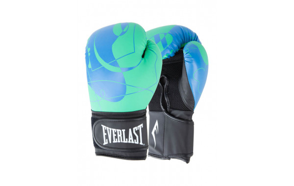 Перчатки тренировочные 14oz Everlast Spark P00002804 синий\зеленый 600_380