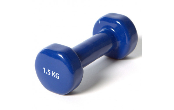 Гантель Sportex виниловая 1,5 кг York DB100 B31384 синий 600_380