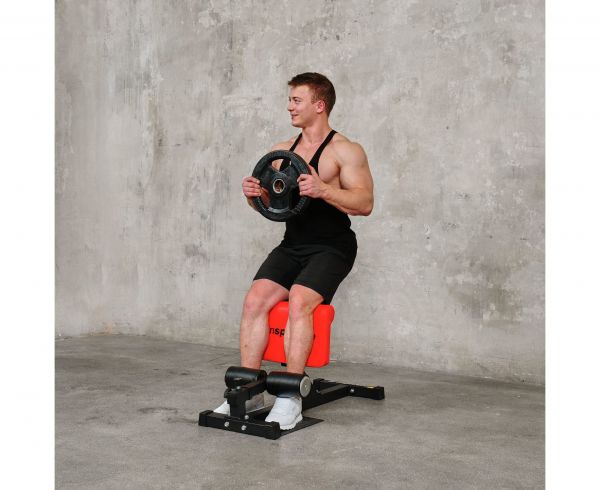 Тренажер для приседаний Sissy Squat DFC IN21715 600_490